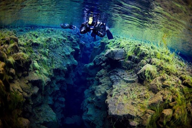 Silfra Fissure Snorkeling From Reykjavík - Free Underwater Photos - What the Silfra swim actually feels like