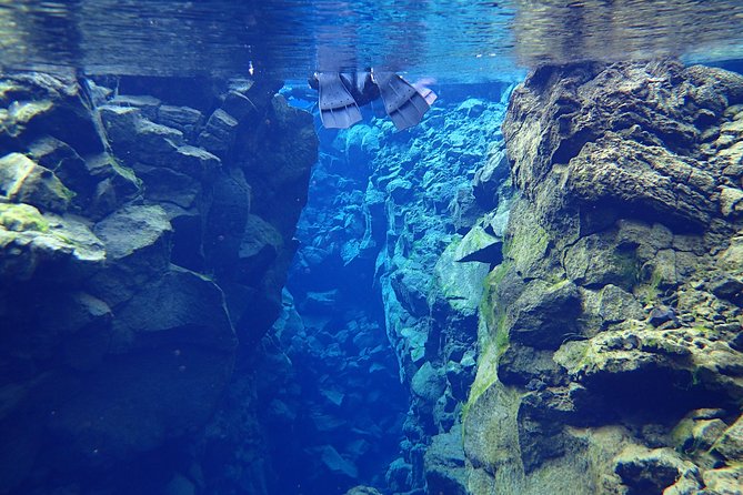 Silfra Fissure Snorkeling From Reykjavík - Free Underwater Photos - Underwater photos and what you will take home
