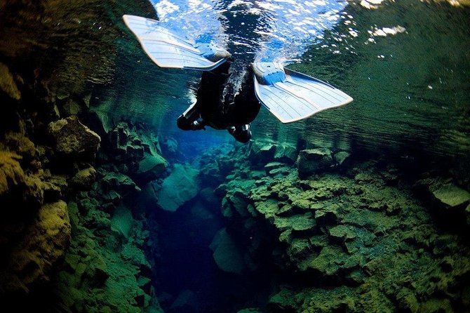 Silfra Fissure Snorkeling From Reykjavík - Free Underwater Photos - The real value of a $211.72 half-day