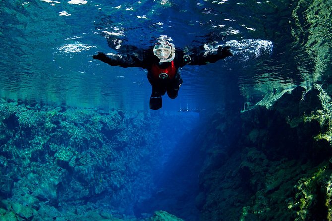 Silfra: Snorkeling Between Tectonic Plates Pick Up from Reykjavik - Hot chocolate, cookies, and the return to Reykjavik
