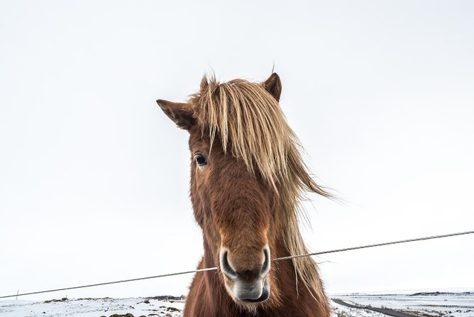 Small-Group Golden Circle Full-Day Tour from Reykjavik - What to pack for eight hours outdoors