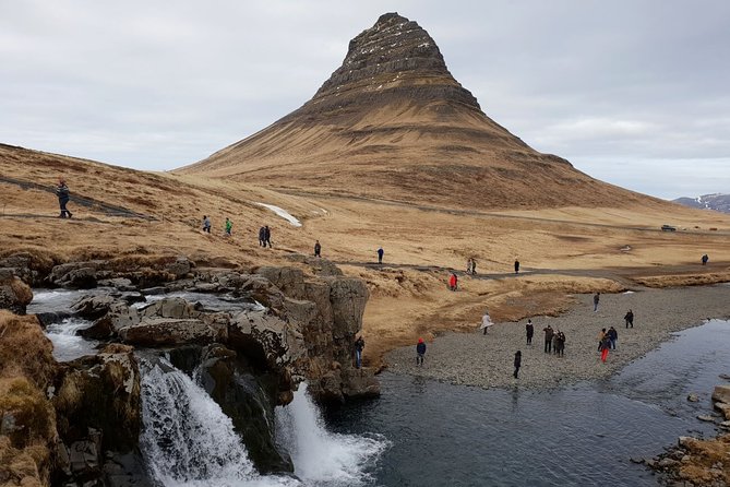 Small-Group Snaefellsnes National Park Day Trip from Reykjavik - Ytri Tunga brings the best wildlife chance