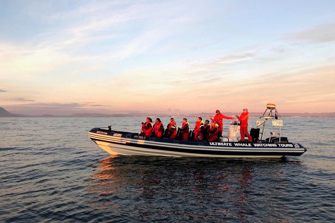 Small-group Whale Watching in the Midnight Sun from Reykjavík - A fast start at Reykjavík’s Old Harbour