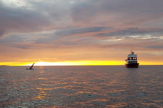 Small-group Whale Watching in the Midnight Sun from Reykjavík - Harpa and the Reykjavík waterfront from the water