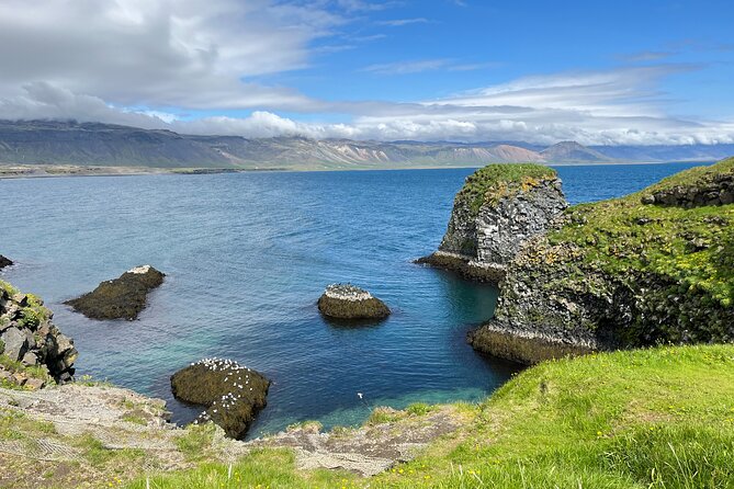 Snæfellsnes in Spanish with lunch on a farm Minibus - Buðir’s black church and old trading past