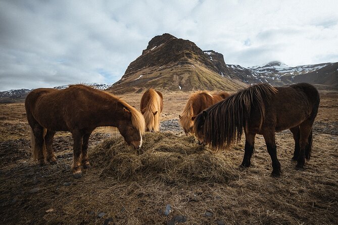 Snæfellsnes Peninsula | Private tour | PRO Photos included - Snæfellsjökull, volcano and glacier in one view
