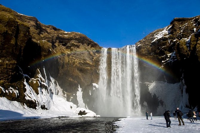 South Coast and Glacier Lagoon - Private - Reynisdrangar: sea stacks and birdlife near the beach