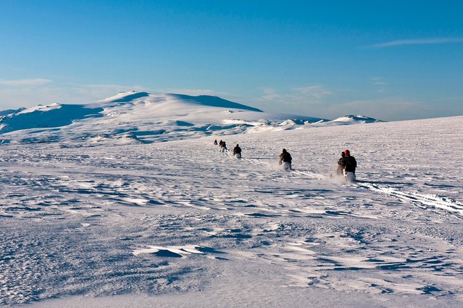 South Coast and Glacier Snowmobiling Day Trip from Reykjavik - What $249 Buys You