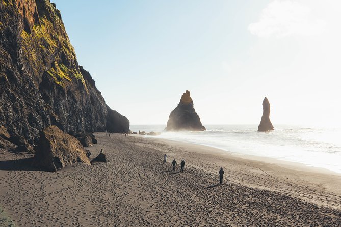 South Coast Day Tour Black Sand Beach & Waterfalls from Reykjavik - Weather, winter daylight, and changed plans
