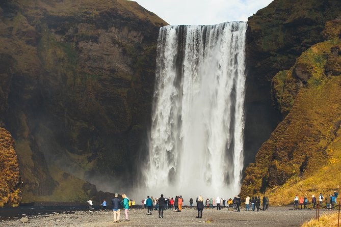 South Coast Day Tour Black Sand Beach & Waterfalls from Reykjavik - Who will get the most from this tour