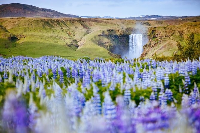 South Coast Iceland from Reykjavik with Guide & Touchscreen Audio - Seljalandsfoss: the waterfall you can enter from behind