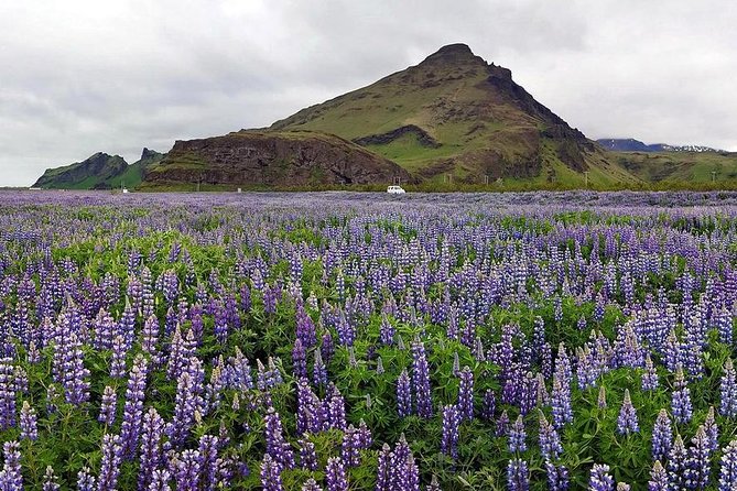 South Coast. Private Day Tour from Reykjavik - Why this South Coast day works so well