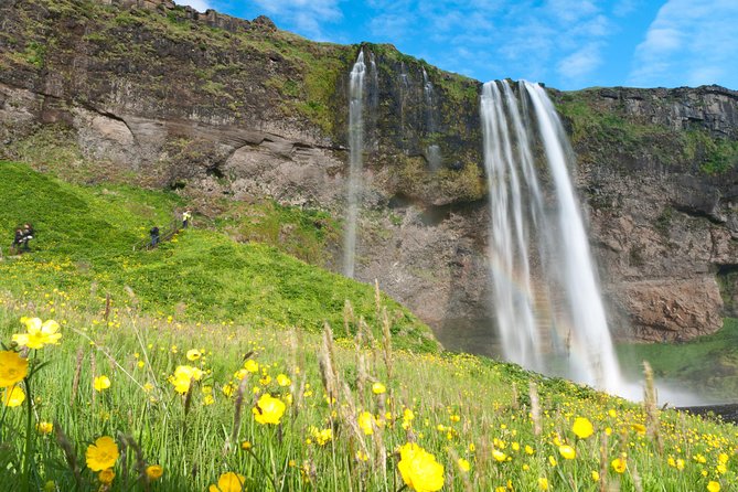 South Coast Sagas: Small Group Tour with Pick-up from Reykjavik - Vik and Reynisfjara: the most memorable stretch of the day
