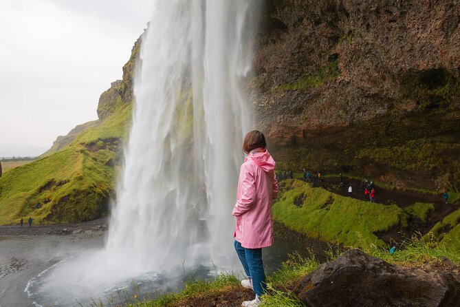 South Iceland, Glacier and Black Sand Beach Small Group Tour - Key points to know before booking