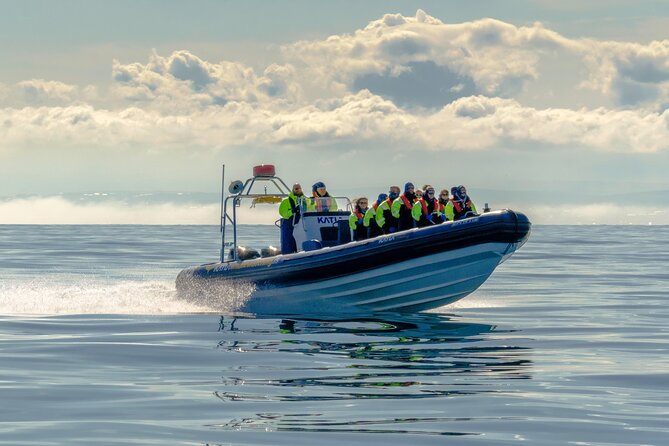 Speedboat Whale Watching Small-Group Tour in Reykjavik - Sailing past the Sun Voyager
