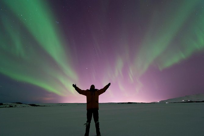 The Golden Circle & Northern Lights Guided Combo tour - Guides, buses, and the feel of the day