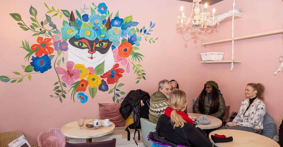 The Private Reykjavik CatWalk - Key points at a glance
