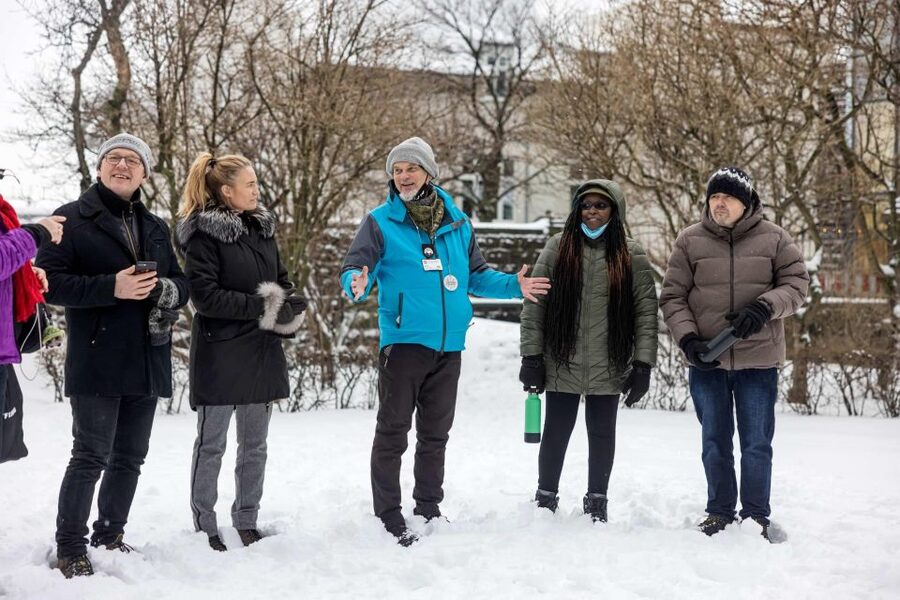 The Private Reykjavik CatWalk - Why this cat tour works in Reykjavik