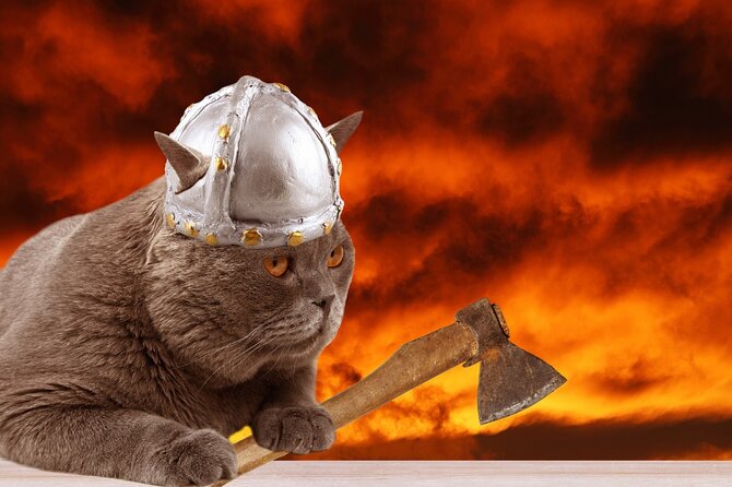 The Reykjavik Cat Walking Tour - Starting at Ingólfstorg and the first cat stories
