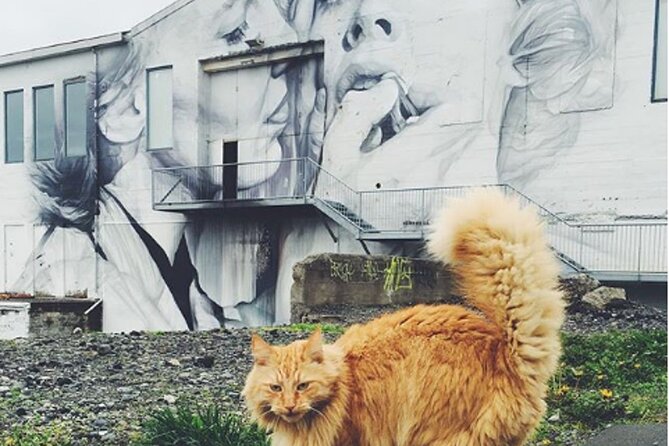 The Reykjavik Cat Walking Tour - Hallgrímskirkja and the uphill portion