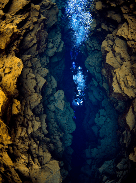 Thingvellir: Silfra Fissure Diving with Optional Pickup - Gear fitting and the dry suit requirement