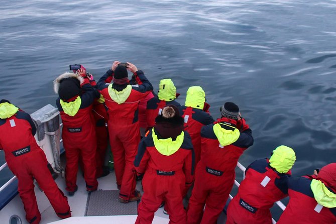 Two-In-One: Whale & Puffin Watching Tours from Reykjavik - The whale guarantee lowers the risk