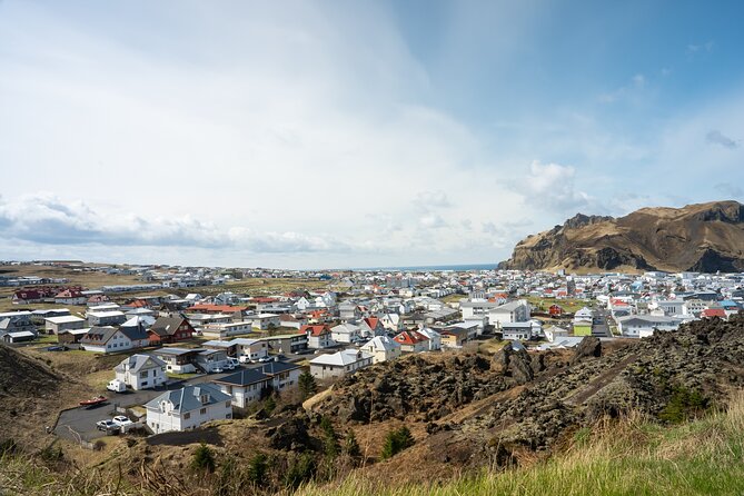 Vestmannaeyjar, Puffins & Volcanoes Small Group Day Tour - Key points at a glance