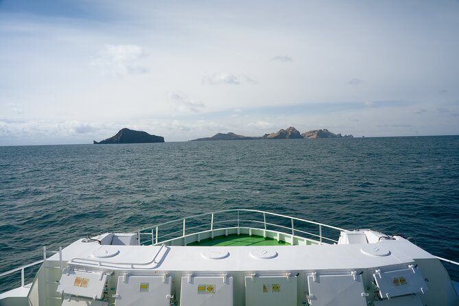 Vestmannaeyjar, Puffins & Volcanoes Small Group Day Tour - Why Heimaey makes such a strong day trip