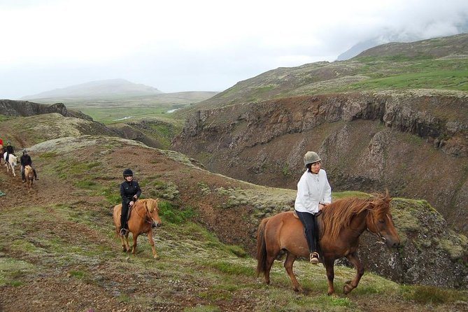 Viking Horse Riding and Golden Circle Tour from Reykjavik - The guide and the quality of the afternoon