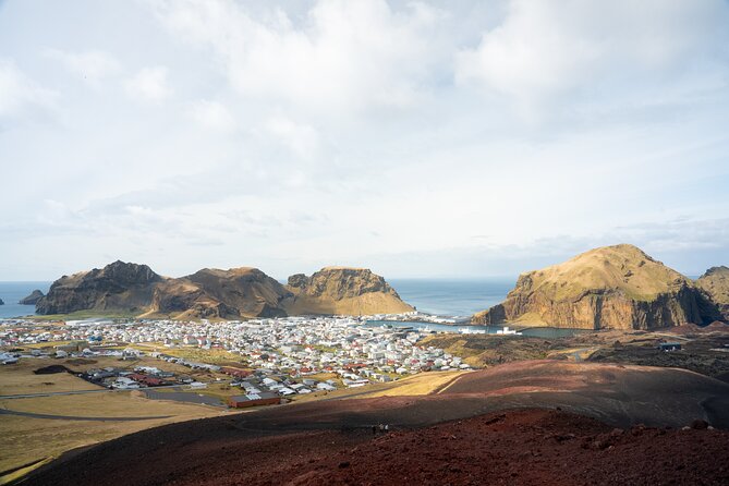 Westman Islands, Volcanoes and Puffins Small Group Tour - What the $245.55 price covers