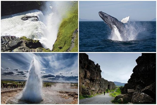 Whale Watching and Golden Circle Tour from Reykjavik - The coach makes the long afternoon easier