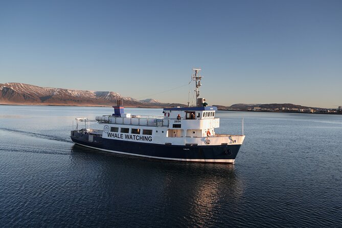 Whale Watching and Marine Life Tour in Reykjavik - What the three-hour route covers