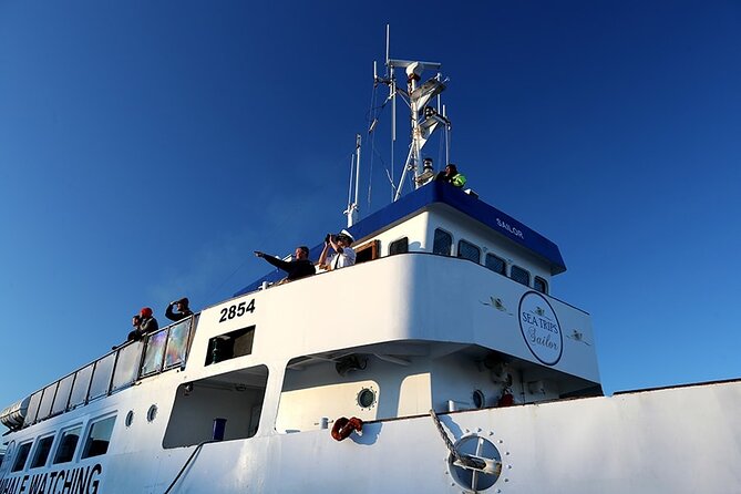 Whale Watching and Marine Life Tour in Reykjavik - The guides and the value of good commentary