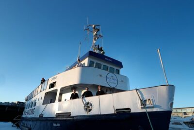Whale Watching and Marine Life Tour in Reykjavik