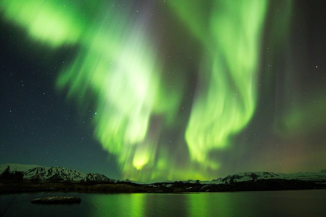 Whale Watching and Northern Lights Half-Day Combo Tour - Two Iceland spectacles, one long day