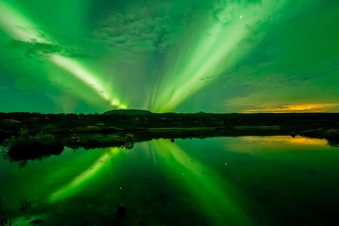 Whale Watching and Northern Lights Half-Day Combo Tour - How the experience compares with a bus-based aurora outing