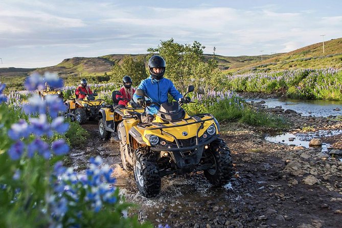 Whale Watching & ATV Adventure from Reykjavik - What makes the combination worthwhile