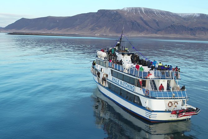 Whale-Watching Boat Tour with Expert Guide from Reykjavik - The Guides Make the Difference