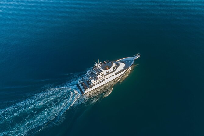 Whale Watching Cruise on a Yacht in Reykjavik - Faxaflói Bay and its scattered islands