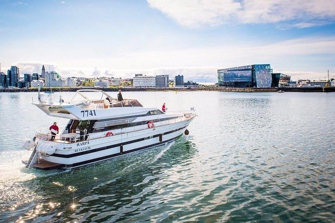 Whale Watching & Dolphin Yacht Cruise - Setting out from Reykjavik’s Old Harbor