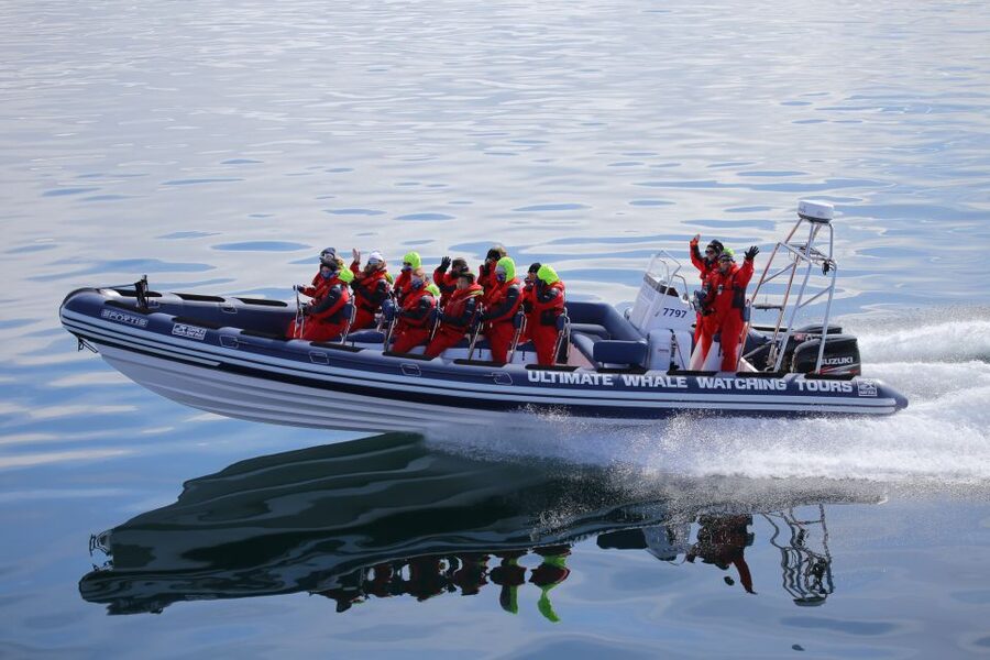 Whale Watching in Reykjavik by Speedboat - Searching the islands for whales and dolphins