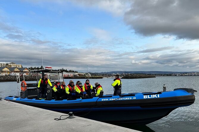 Whale Watching - RIB Boat Adventure in Kopavogur, Iceland - A fast start from Kópavogur harbor