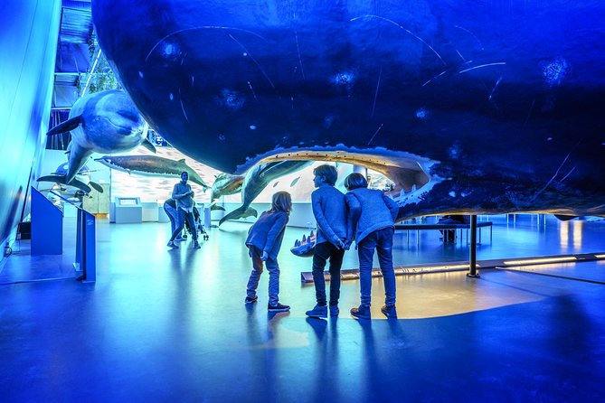 Whales Of Iceland Admission Ticket - Entering Whales of Iceland in Reykjavik
