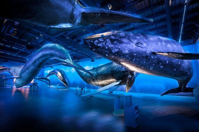 Whales Of Iceland Admission Ticket - Using the audio guide and interactive exhibits