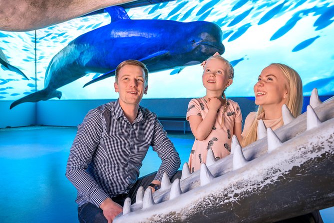 Whales Of Iceland Admission Ticket - Who will enjoy this museum most?