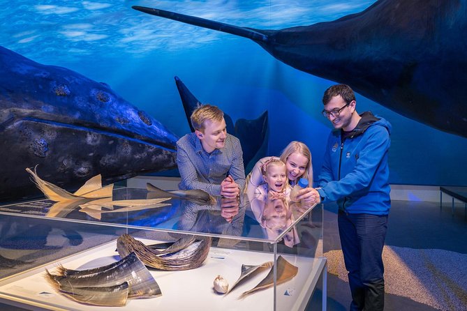Whales of Iceland from Land and Sea - Why this Reykjavik whale trip works as a two-part experience