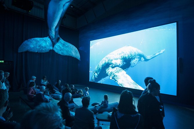 Whales of Iceland from Land and Sea - Whales of Iceland museum: the useful land-based half