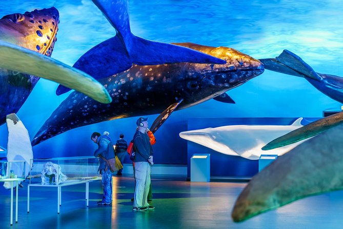 Whales of Iceland from Land and Sea - Booking, weather, and cancellation details