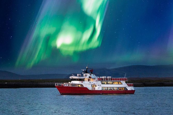 Winter Whale Watching and Northern Lights Cruise from Reykjavik - What the whale trip feels like in poor weather