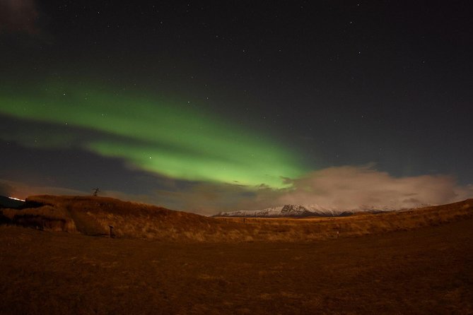 Winter Whale Watching and Northern Lights Cruise from Reykjavik - Afternoon whale watching from Ægisgarður